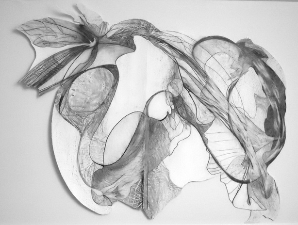 Varnished graphite on synthetic paper 38 x 50 inches (variable)