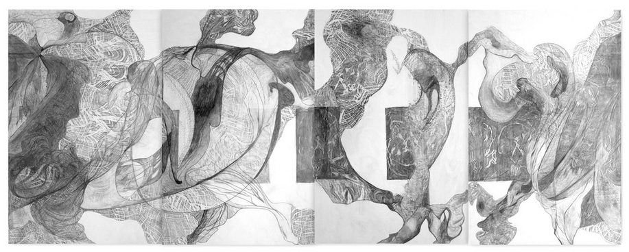 Varnished graphite on synthetic paper 38x100 inches